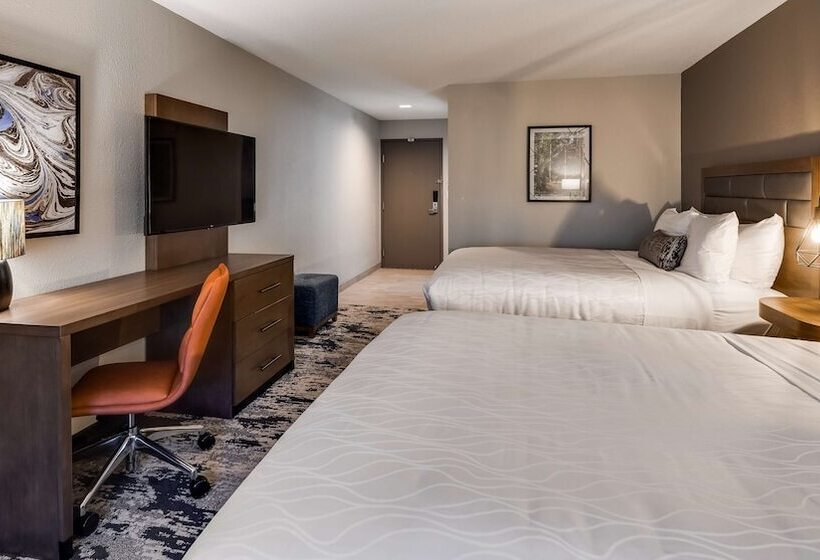 Standard-huone 2 Parivuodetta, Best Western Plus Bourbonnais Hotel & Suites
