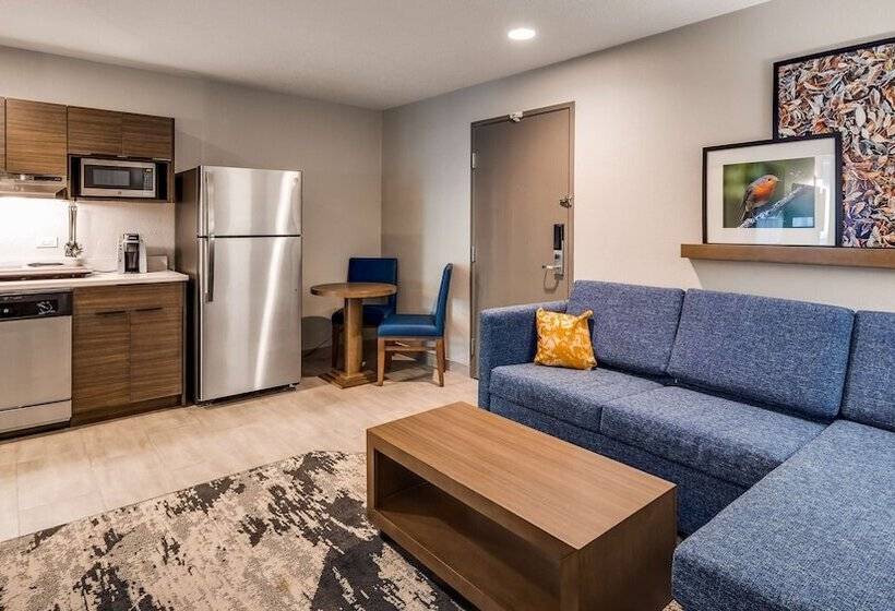 Sviitti, Best Western Plus Bourbonnais Hotel & Suites