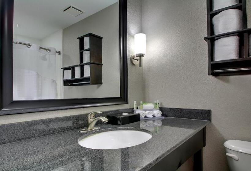 스탠다드 룸, Holiday Inn Express & Suites Jackson Downtown   Coliseum, An Ihg
