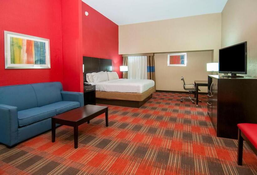 스위트 킹사이즈 침대, Holiday Inn Express & Suites Jackson Downtown   Coliseum, An Ihg