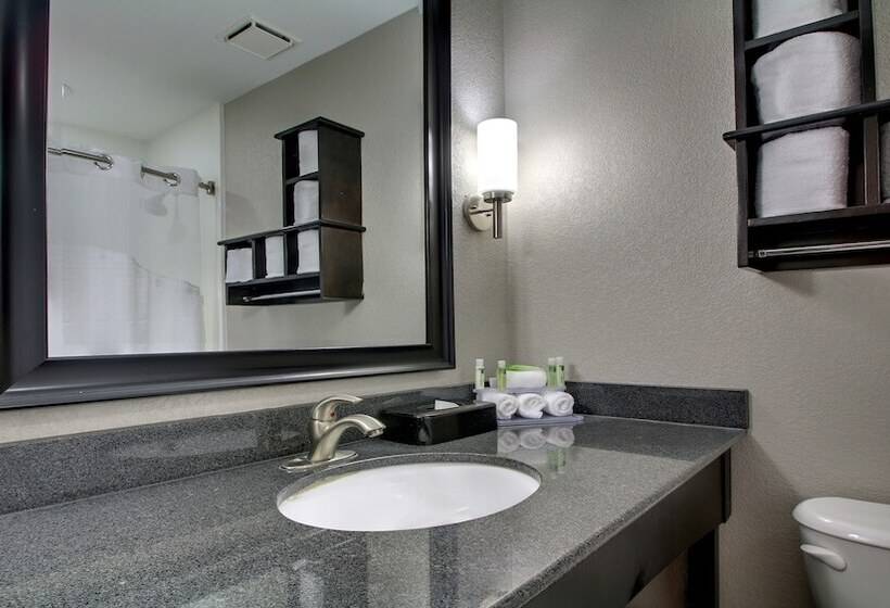 스위트, Holiday Inn Express & Suites Jackson Downtown   Coliseum, An Ihg