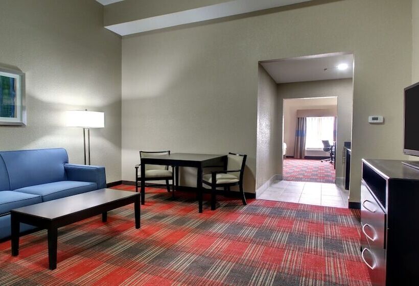 스위트, Holiday Inn Express & Suites Jackson Downtown   Coliseum, An Ihg