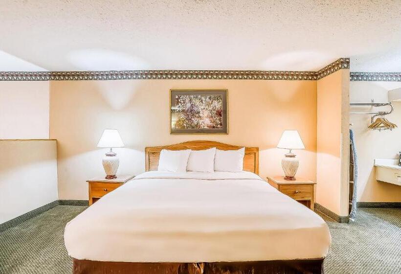 اتاق استاندارد با تخت بزرگ, Oyo Hotel Monroe La I 20