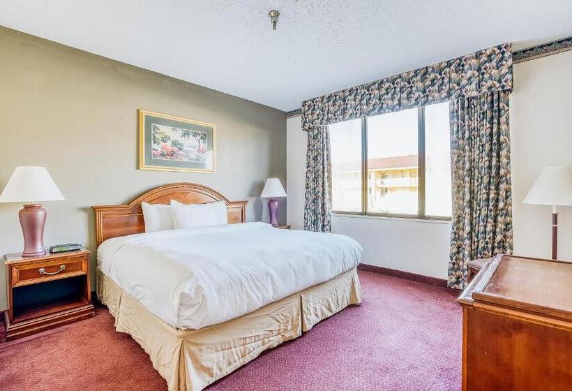 سوییت, Oyo Hotel Monroe La I 20