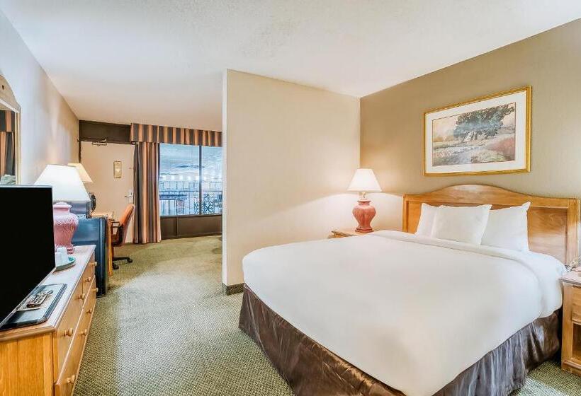 سوییت جونیور, Oyo Hotel Monroe La I 20