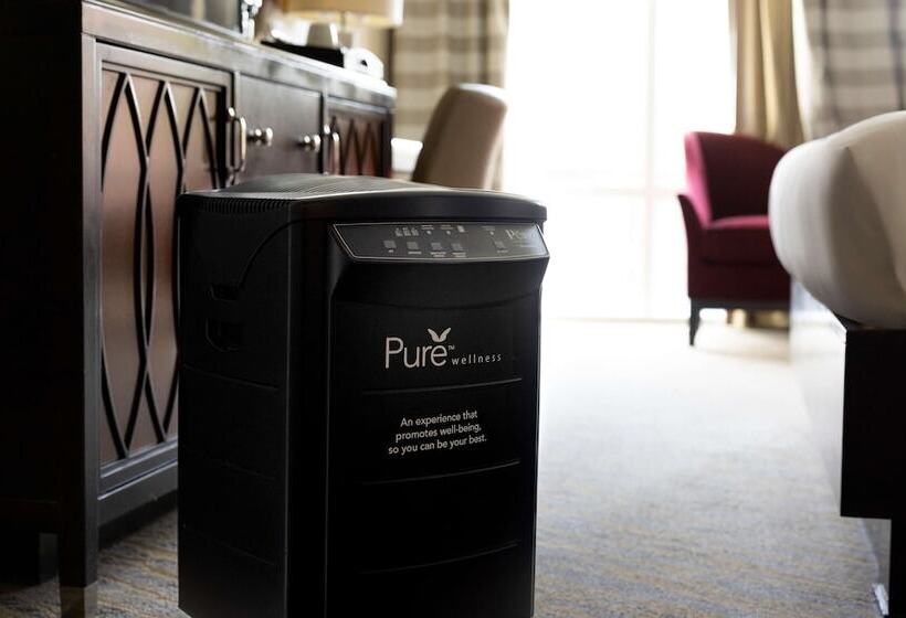 اتاق استاندارد با 2 تخت دوبل, The Inn At Penn, A Hilton