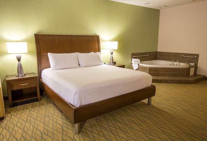 اتاق استاندارد با تخت بزرگ, The Inn At Penn, A Hilton