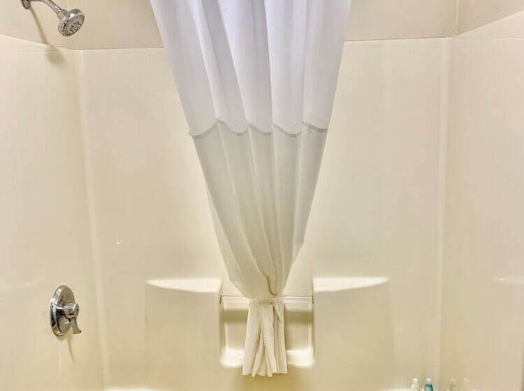 스탠다드 룸 킹사이즈 침대, Quality Inn Seneca Us123