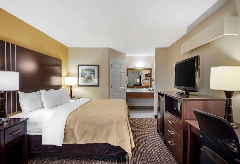 스탠다드 룸 킹사이즈 침대, Quality Inn Seneca Us123