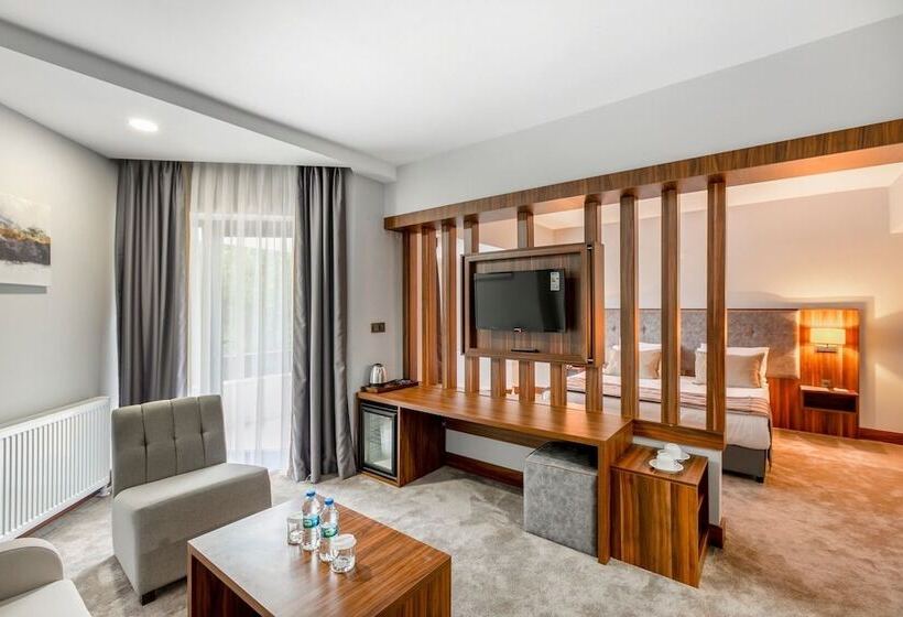 Полулюкс Вид на Город, The Sign Esentepe Hotel&kayak Merkezi