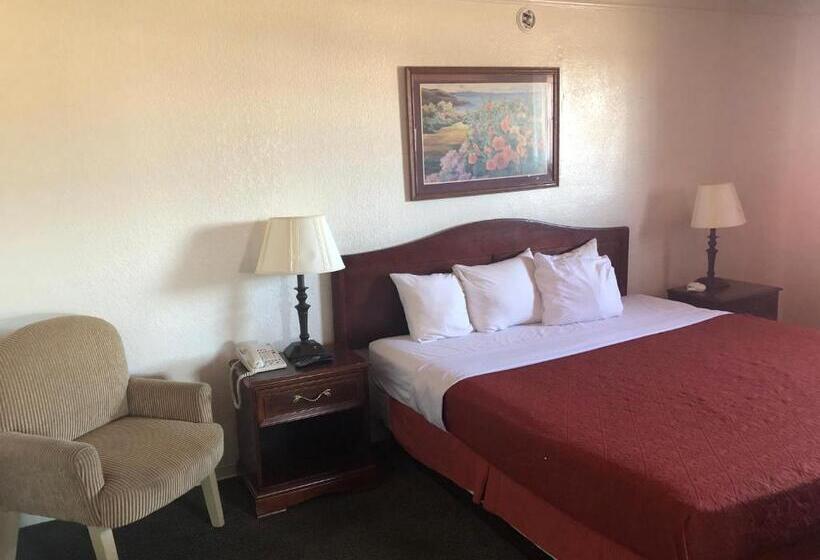 스위트 킹사이즈 침대, Americas Best Value Inn Denver