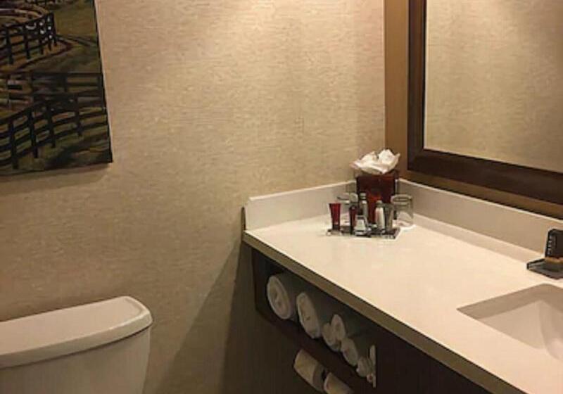 带大床的标准间, Marriott Louisville East