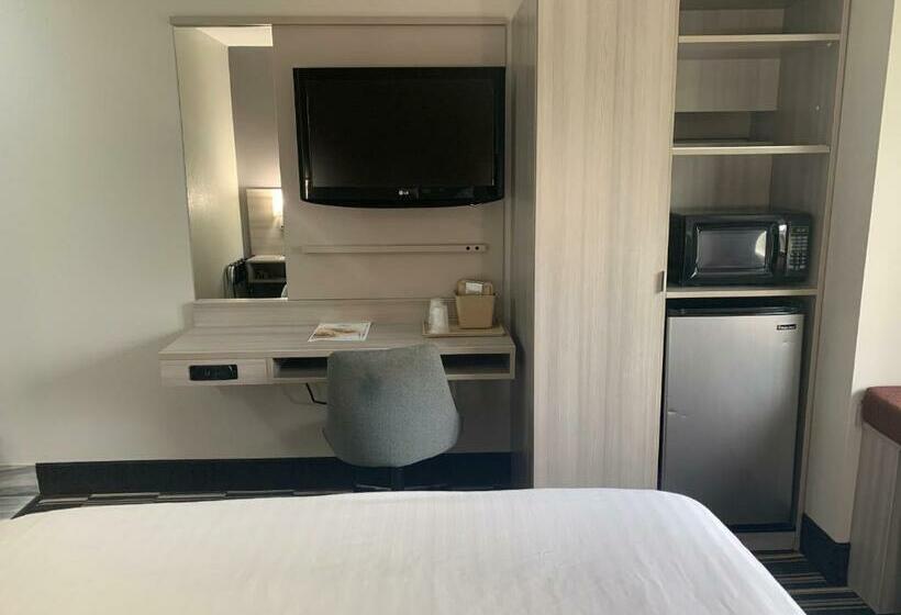 اتاق لوکس با تخت بزرگ, Microtel Inn By Wyndham Charlotte Airport