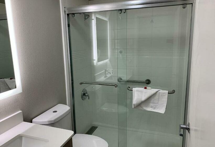 اتاق لوکس با تخت بزرگ, Microtel Inn By Wyndham Charlotte Airport
