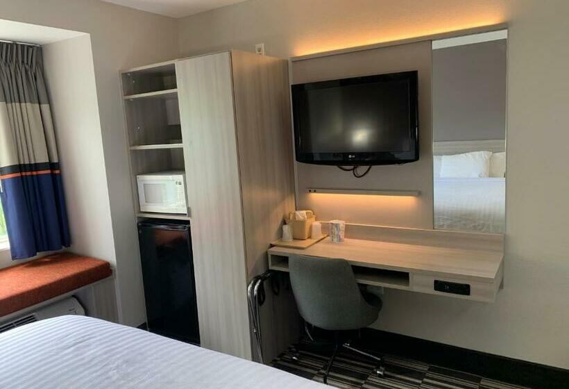 اتاق لوکس با تخت بزرگ, Microtel Inn By Wyndham Charlotte Airport