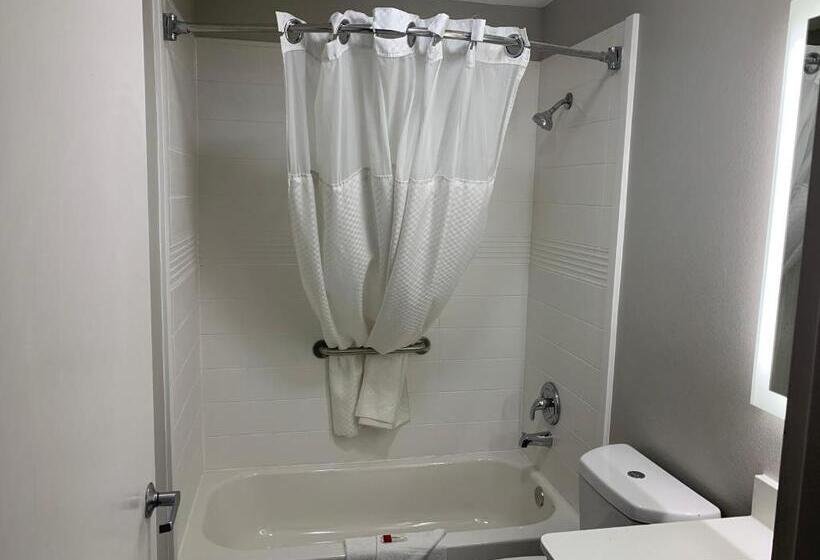 اتاق استاندارد, Microtel Inn By Wyndham Charlotte Airport