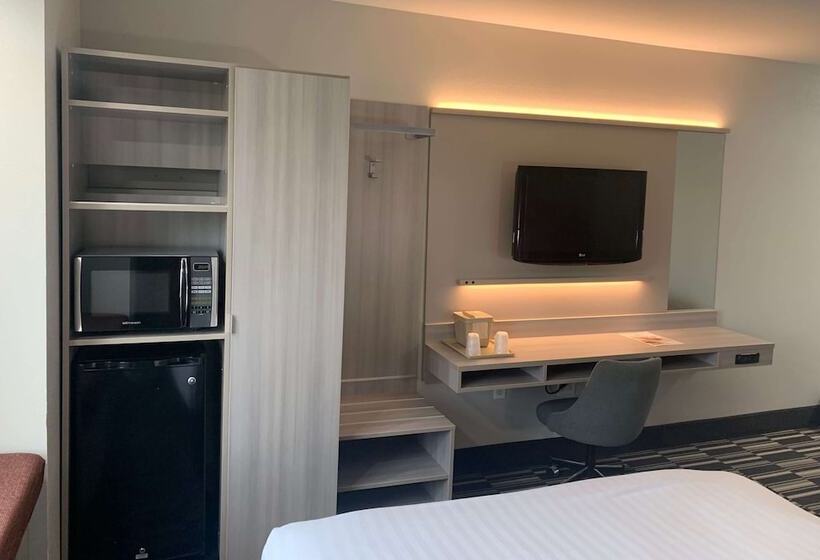 اتاق استاندارد برای معلولان, Microtel Inn By Wyndham Charlotte Airport