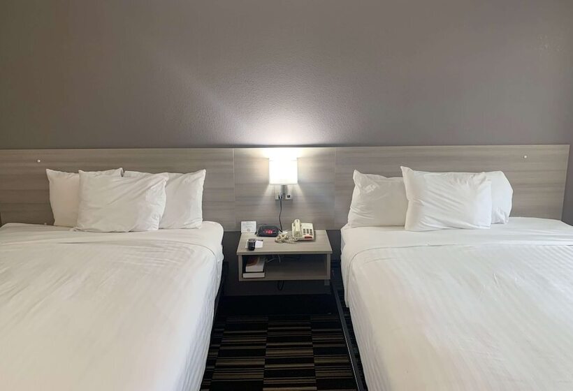 اتاق استاندارد برای معلولان, Microtel Inn By Wyndham Charlotte Airport