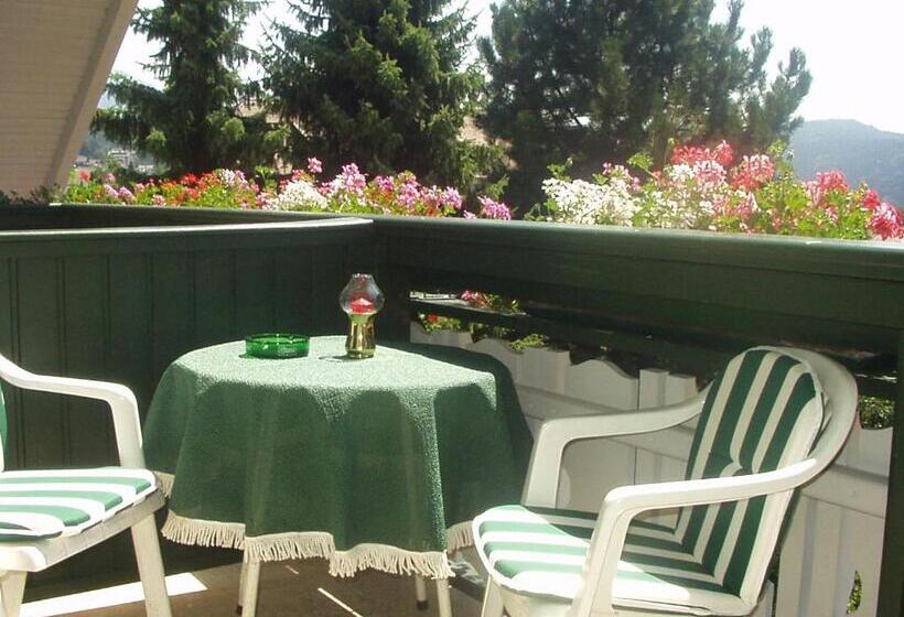 Апартаменты 1 Спальня, Pension & Apartments Ertl