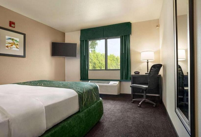 스탠다드 룸 킹사이즈 침대, Travelodge By Wyndham Yuma