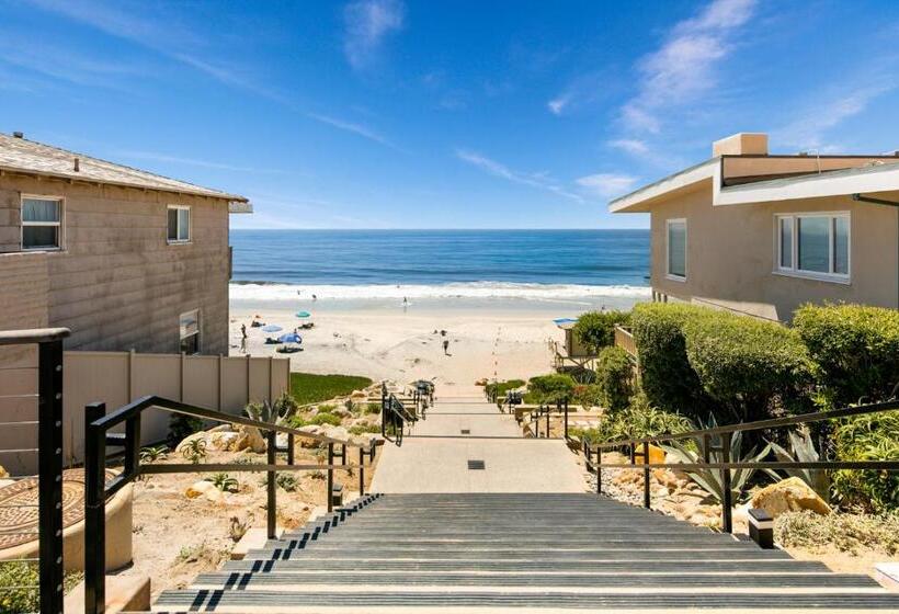디럭스 스위트 바다 전망, Ocean Palms Beach Resort