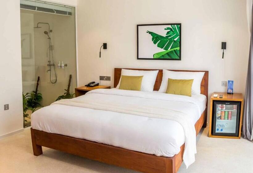 اتاق استاندارد, The B Resort