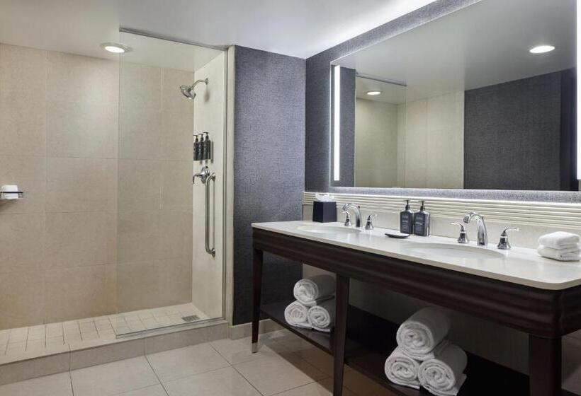 Номер Deluxe Кровать Кинг Вид на Город, Sheraton Valley Forge King Of Prussia