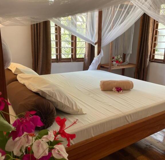Quarto Estandar, Meliks