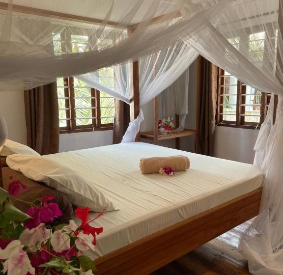 Quarto Estandar, Meliks