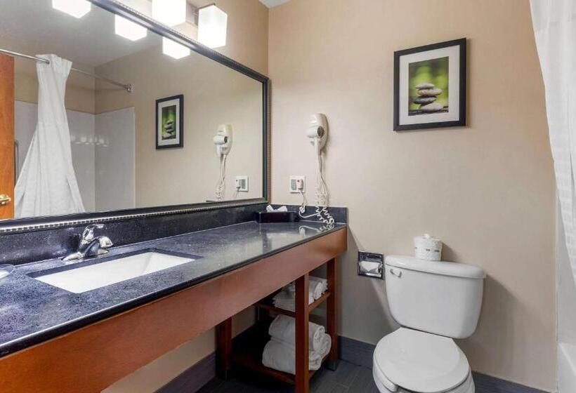 带大床的套房, Comfort Suites North Dallas