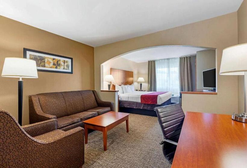 带大床的套房, Comfort Suites North Dallas