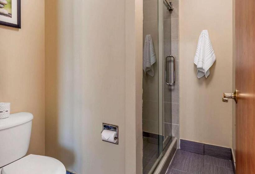 带大床的套房, Comfort Suites North Dallas