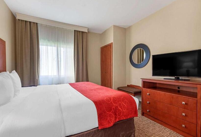 适合残疾人士使用的套间, Comfort Suites North Dallas