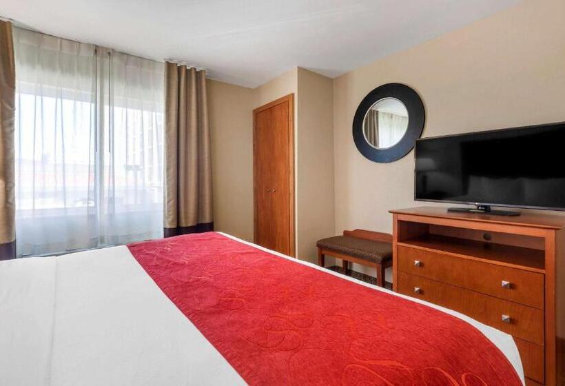 豪华套房, Comfort Suites North Dallas