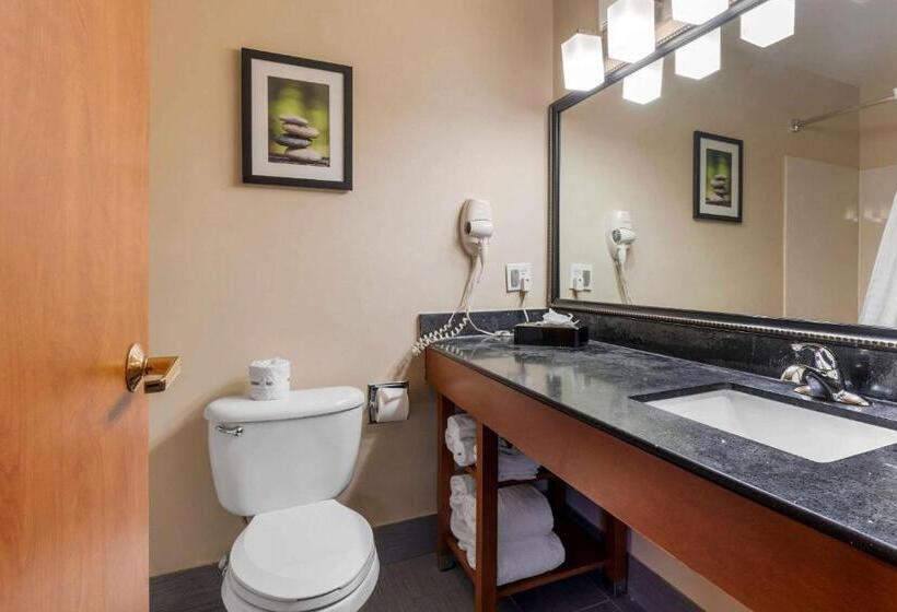 套房, Comfort Suites North Dallas