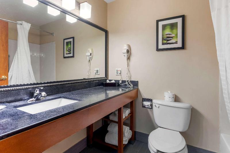 带大床的套房, Comfort Suites North Dallas