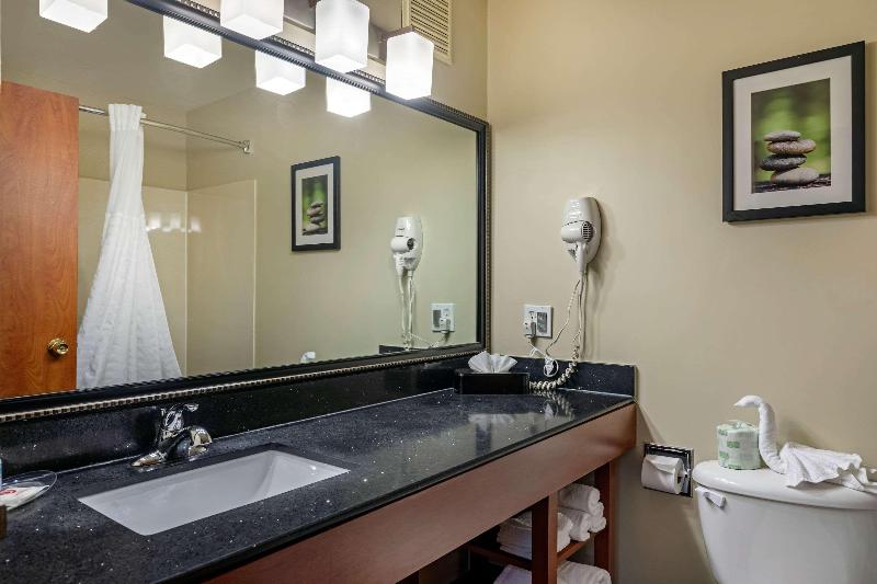 套房, Comfort Suites North Dallas