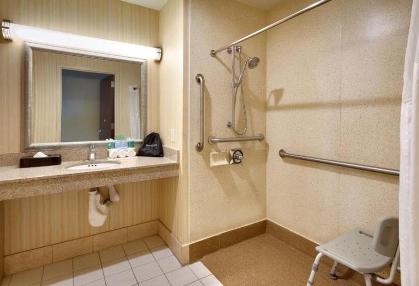 Номер Стандарт Кровать Кинг Адаптированный для Инвалидов, Holiday Inn Express & Suites American Fork   North Provo, An Ihg