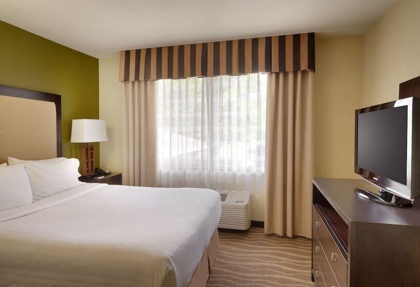 Люкс, Holiday Inn Express & Suites American Fork   North Provo, An Ihg