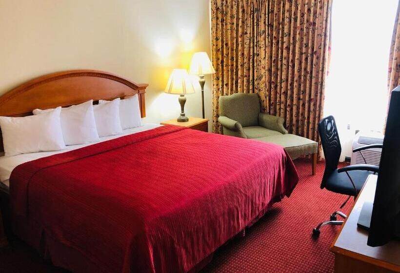 Полулюкс, Wyndham Garden Atlanta Airport