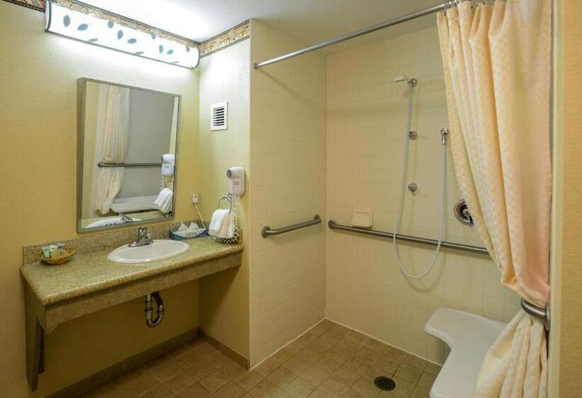장애인을 위한 킹사이즈 침대 스탠다드 룸, Winter Park Mountain Lodge