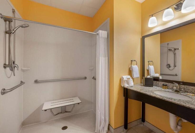 Номер Стандарт Адаптированный для Инвалидов, Best Western Plus North Platte Inn & Suites
