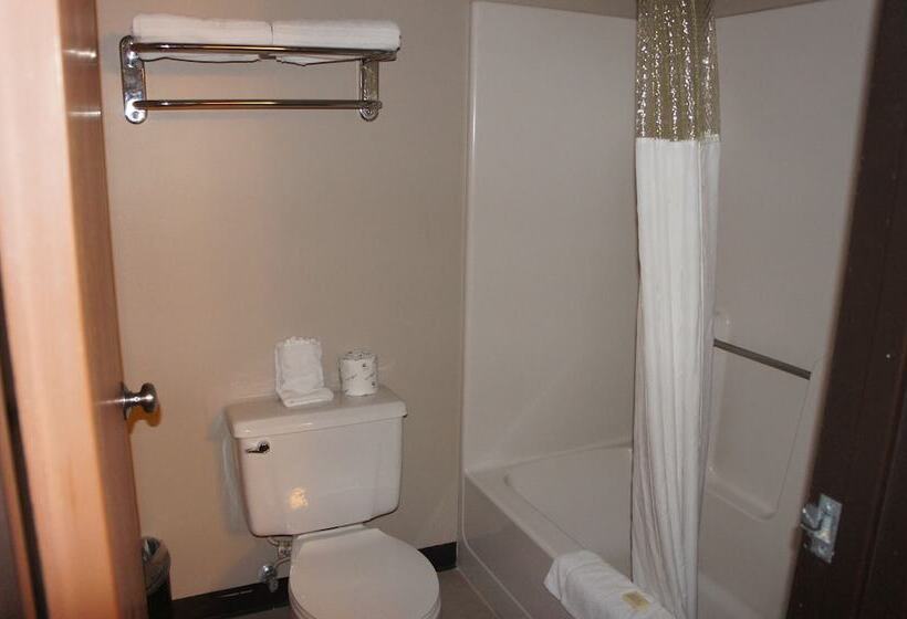 Номер Стандарт 2 Двуспальные Кровати, Coratel Inn And Suites Maple Grove