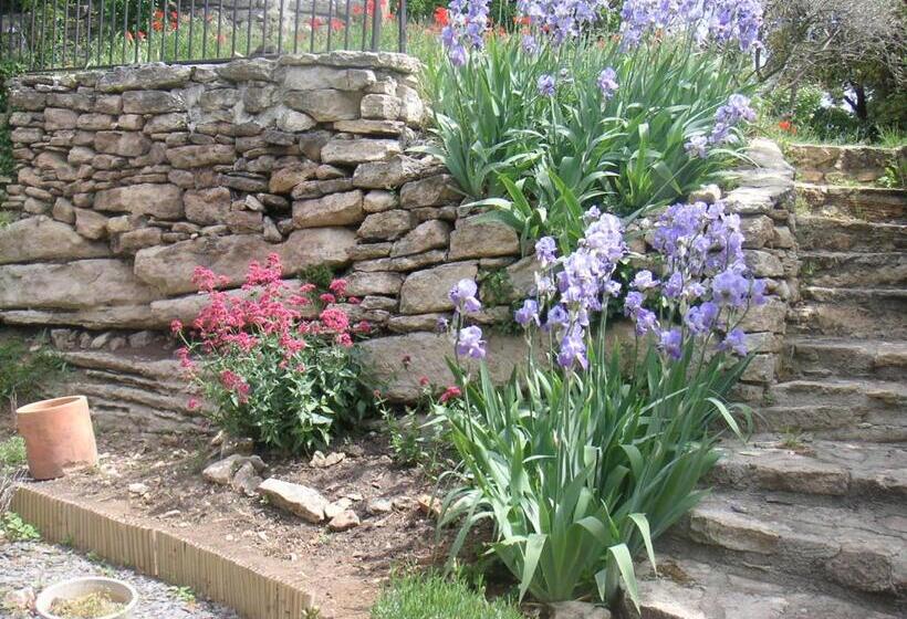خانه 1 خوابه, Le Jardin D Adam