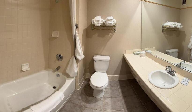 Номер Deluxe Кровать Кинг, Rocklin Park