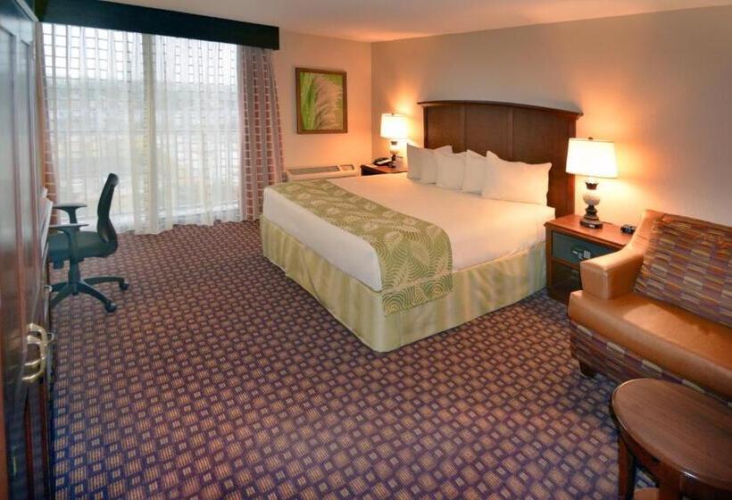 חדר דחוקס עם מיטת קינג, Rosen Inn Closest to Universal