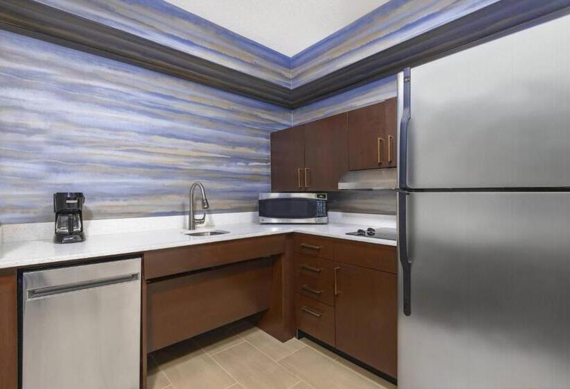 Suite Aangepast voor Gehandicapten, Residence Inn Indianapolis Downtown On The Canal