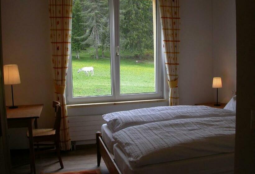 اتاق استاندارد, Reitstall Und Saloon San Jon