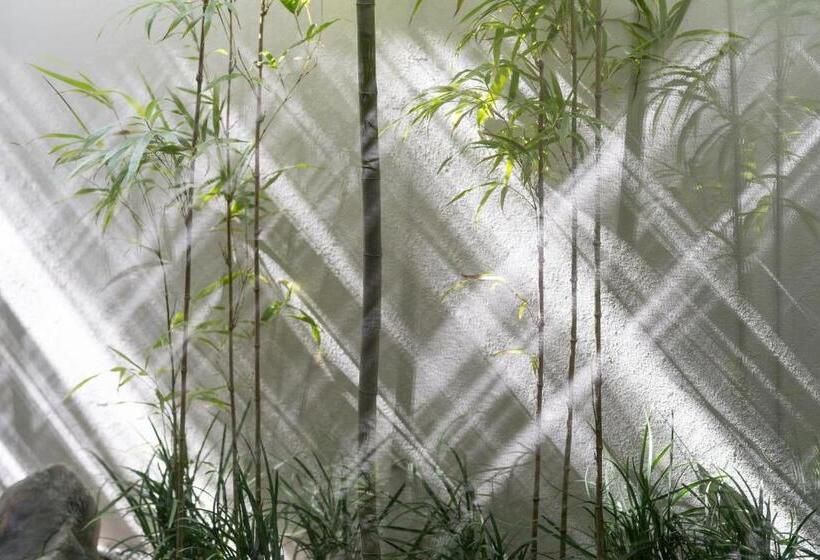 سوییت, The Junei Hotel Kyoto