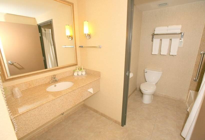 스탠다드 룸, Holiday Inn Express San Diego South   Chula Vista, An Ihg